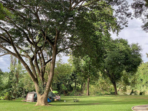 ลานกางเต็นท์